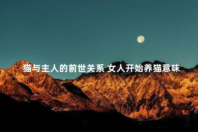 猫与主人的前世关系 女人开始养猫意味着